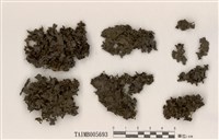 藏品(薄刃貓耳衣)的圖片